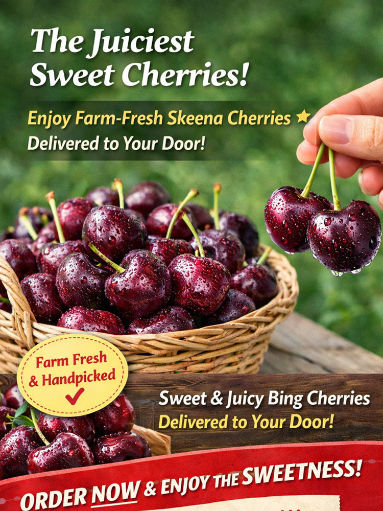 [Fast-growing, strong, and hardy] Cherry tree seeds that bear fruit in the same year.
