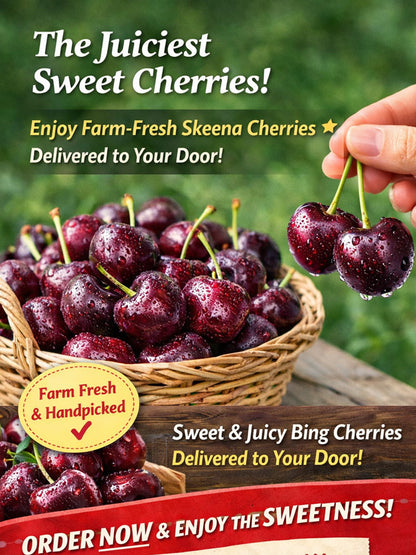 [Fast-growing, strong, and hardy] Cherry tree seeds that bear fruit in the same year.