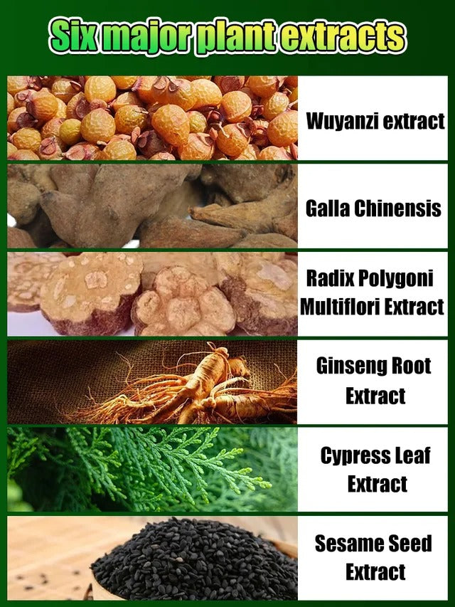 20 Minute Easy Hair Dyeing • Plant Extract Bubble Dyeing